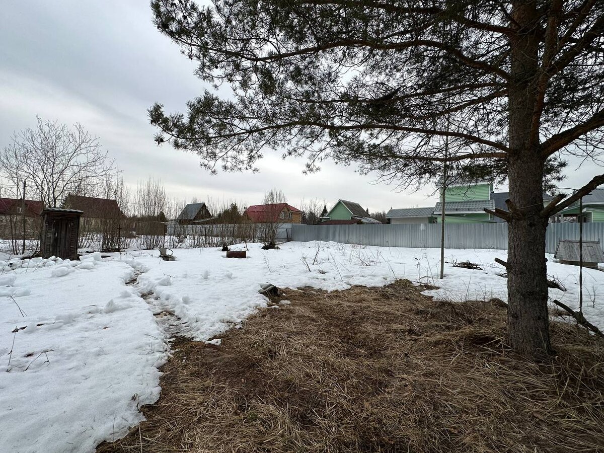 Весенний пейзаж