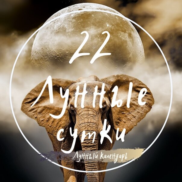 Лунный календарь, астрологический прогноз и рекомендации на 01.04.2024 года от астролога Елены Луженецкой