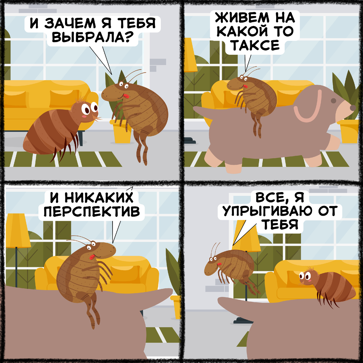 Сложные отношения у блох