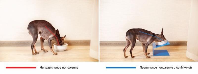 Фото с просторов 