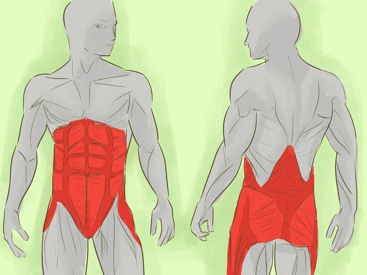 Мышечный корсет