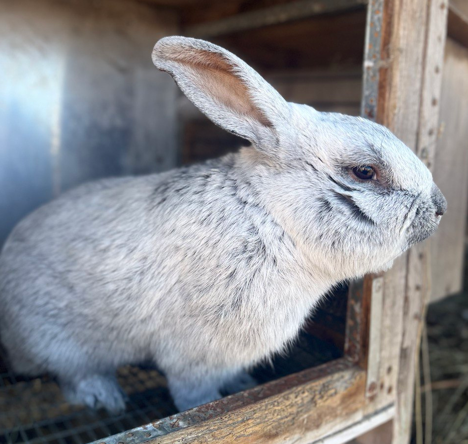Тушенка - залог низких расходов на еду!