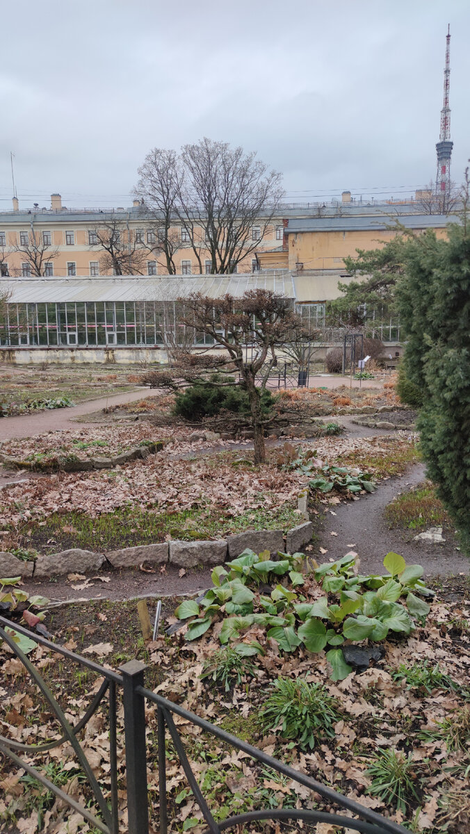 Пока ещё лежат листья лежат на газоне