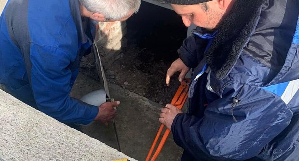    Вход в подвал / ГУСТ МО