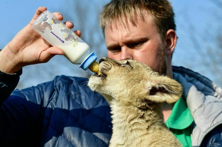   Юрий Смитюк/ТАСС