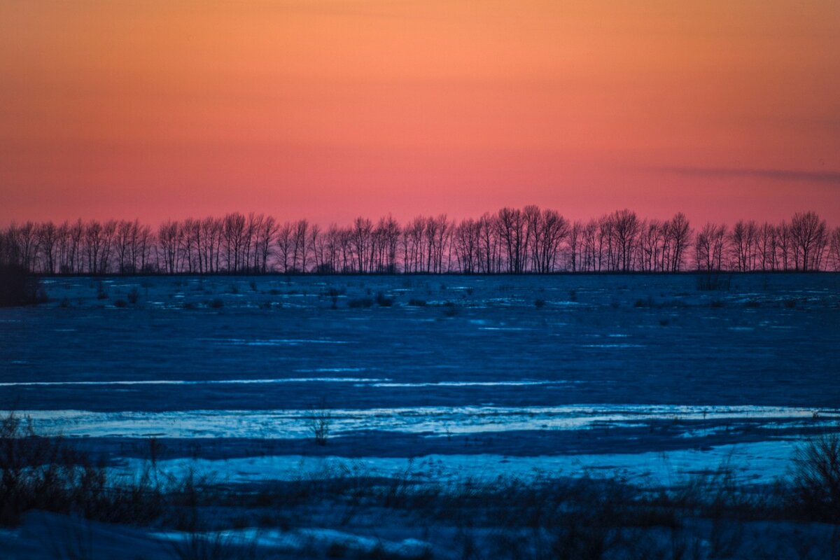 Фото: Александр Панов.