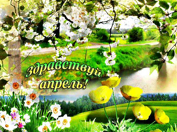 Яндекс. Открытый источник 