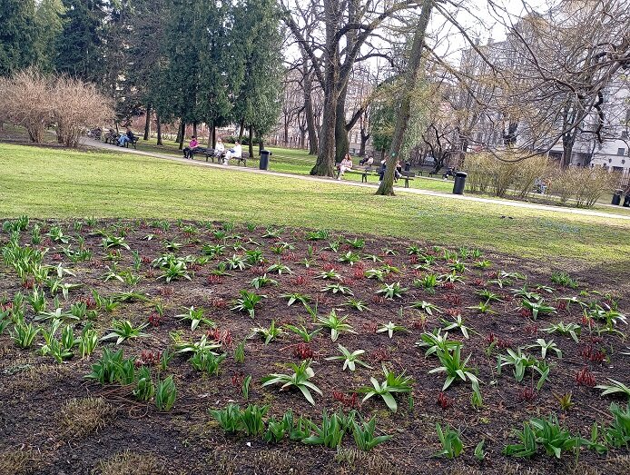 Католическая пасха в москве. Лютеранская пасха. Лютеранская пасха. Пасха в католической церкви. Пасха лютеранская 2024.