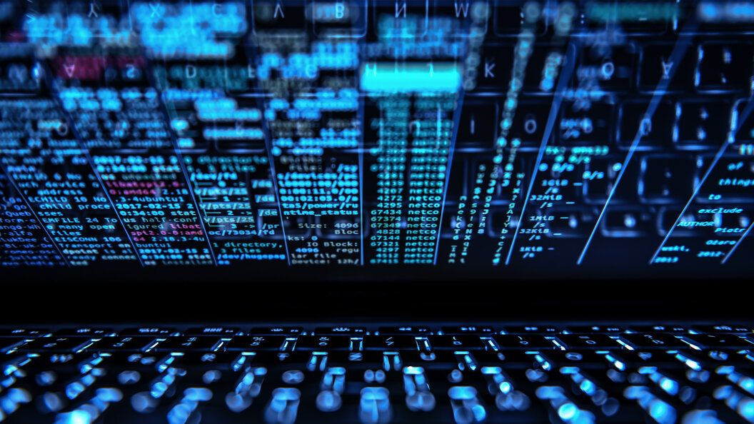    Фото: Silas Stein/Globallookpress