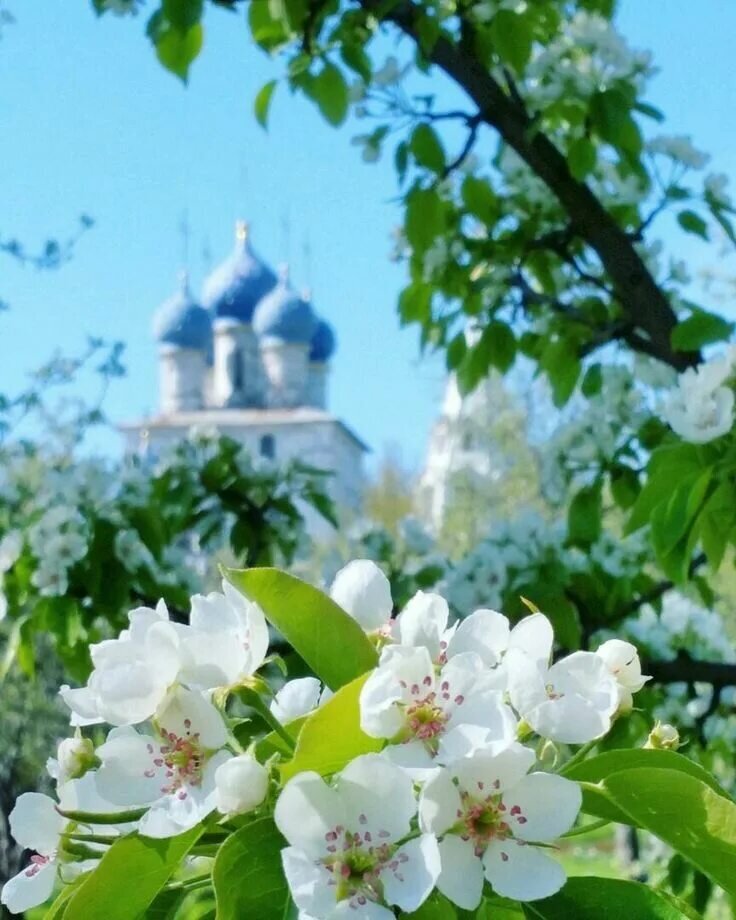 Источник фото Яндекс картинки 