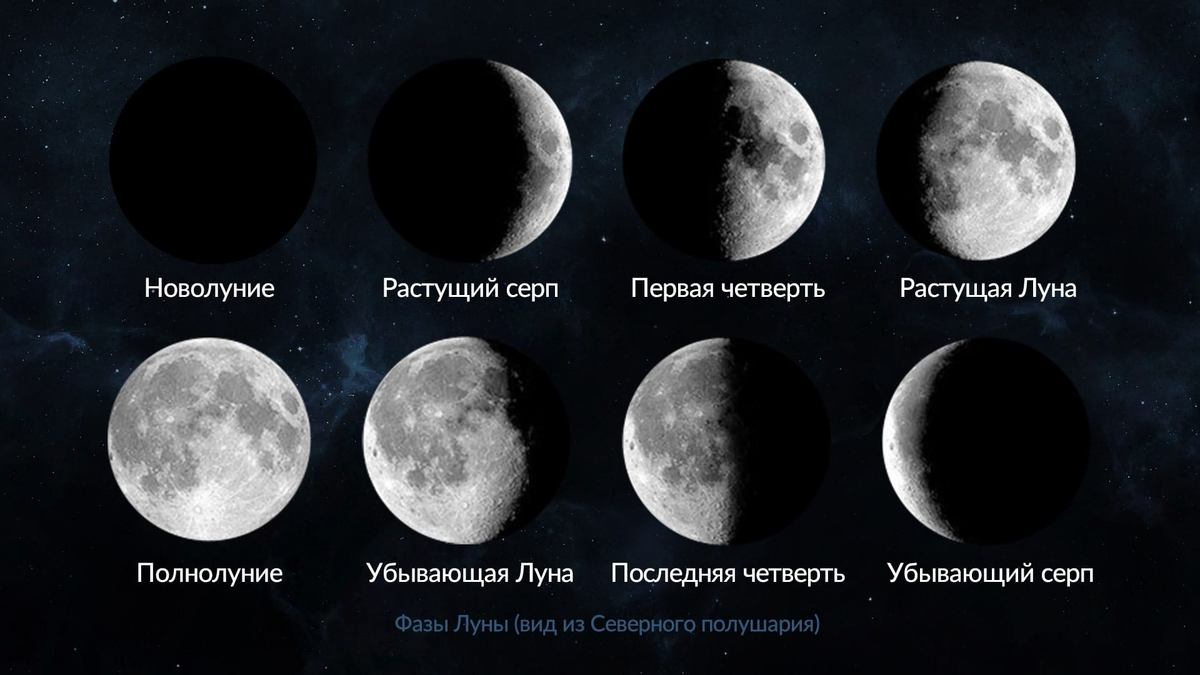 Полнолуние: почему не спит малыш? - 27 ответов - От года до двух лет - Форум Дети Mail