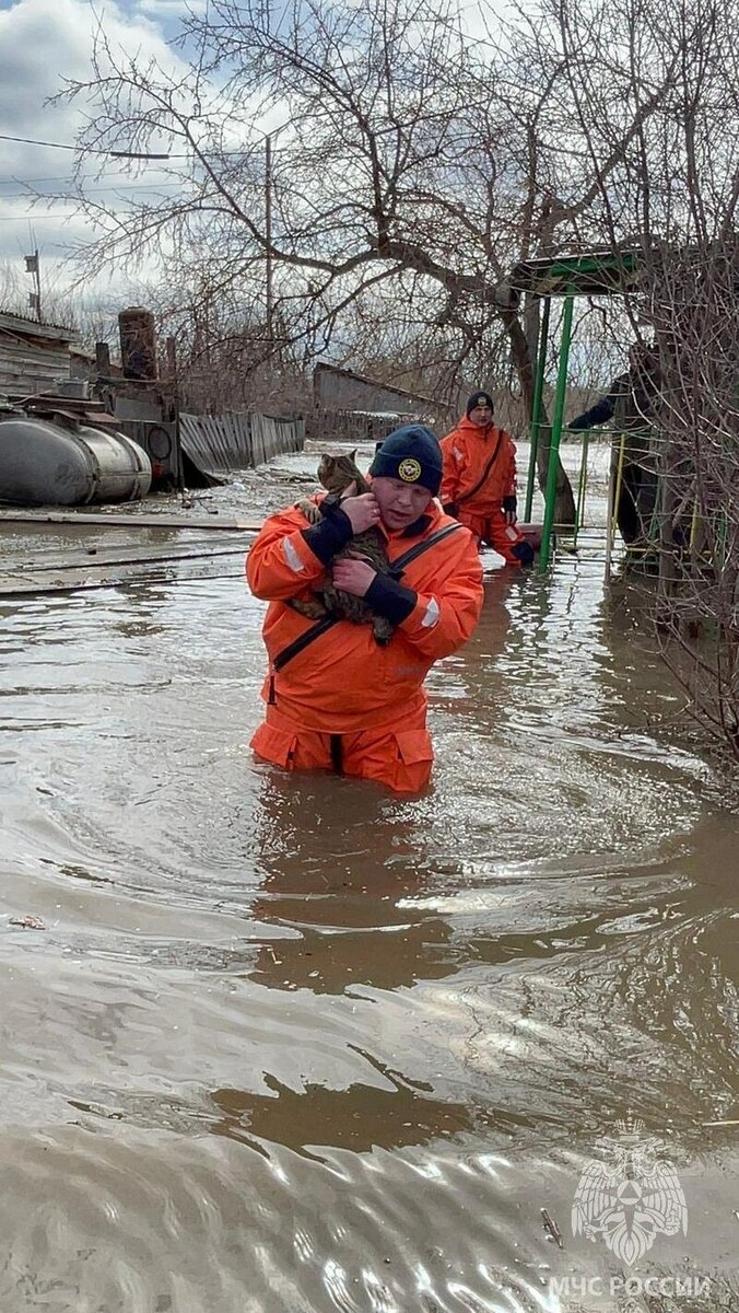 Затопленные дома, размытые дороги. Как Алтайский край тонет в талых водах |  amic.ru | Дзен