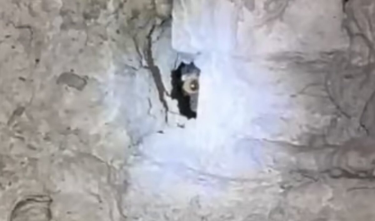 Чей это мог быть глаз..?