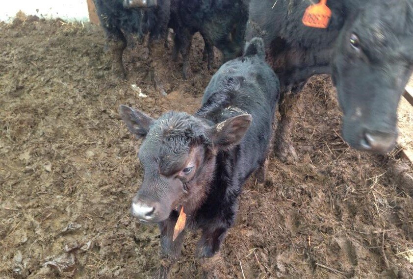 Фото: Максут Бактибаев