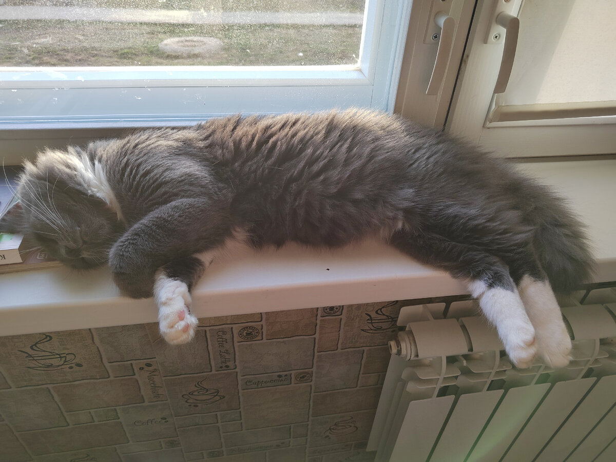 Фото автора канала.