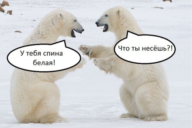 Источник: https://forum.cxem.net/uploads/monthly_2023_04/smeh.jpg.664b3773ede6f166b4e0a3b73a16177a.jpg