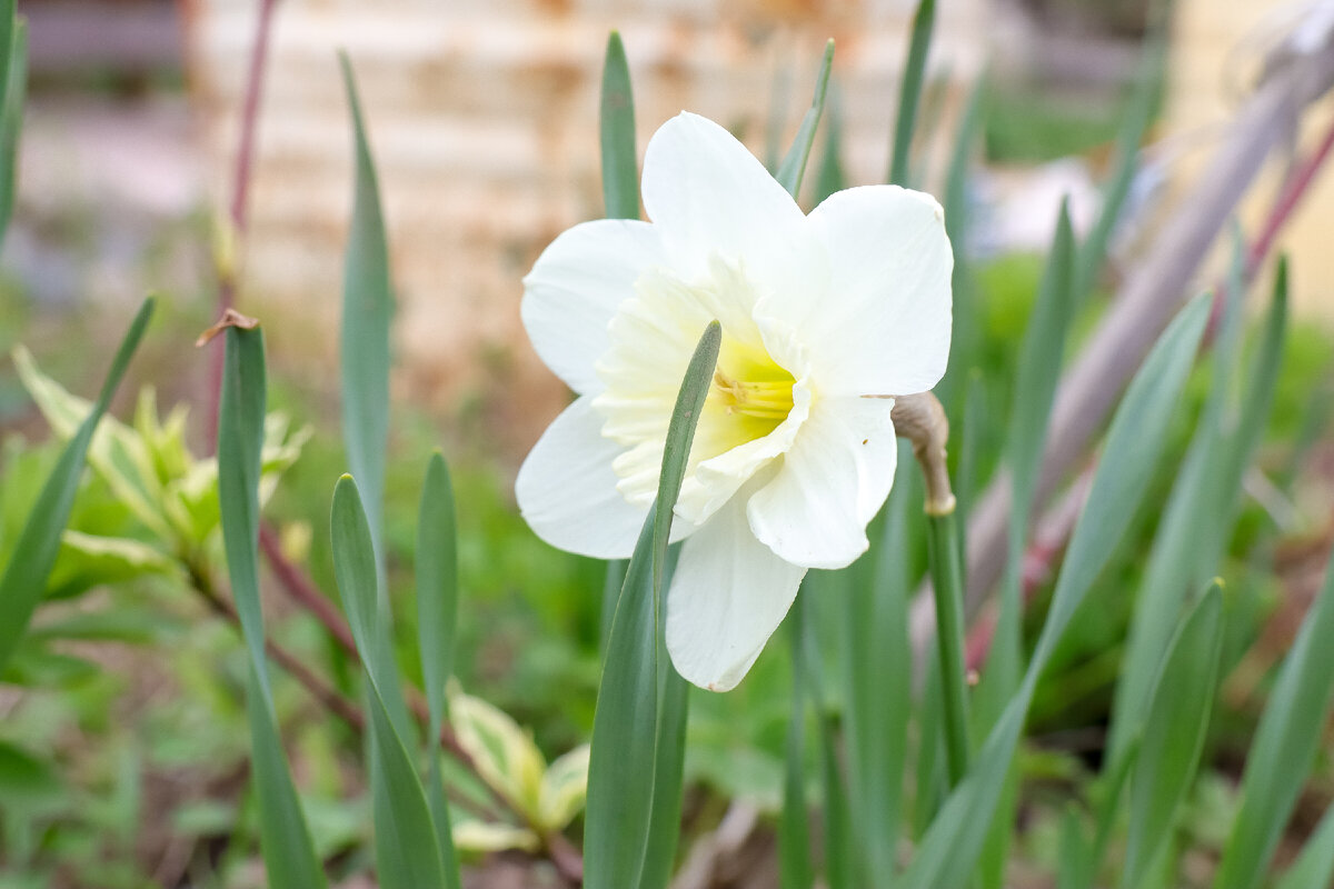 Фото: Elena Mayorova/Globallookpress