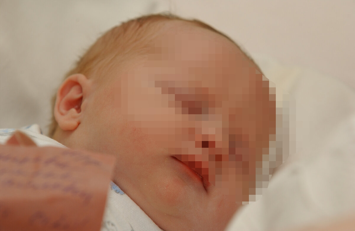 Фото: Anton Kavashkin/Globallookpress