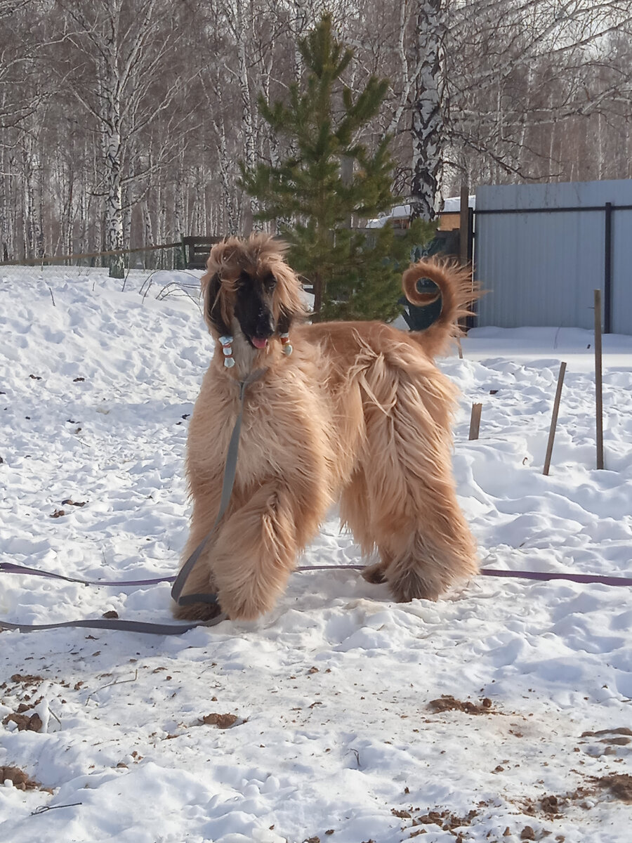 Дуся, почти два года