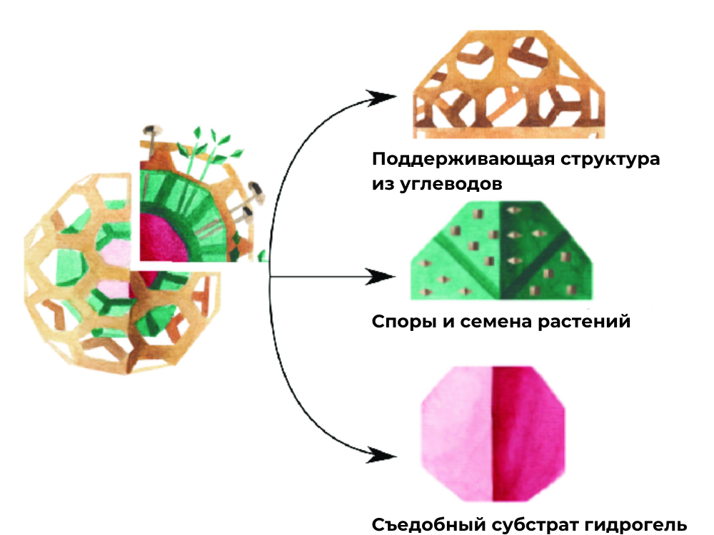 Так устроена съедобная экосистема. Фото: thisiscolossal.com