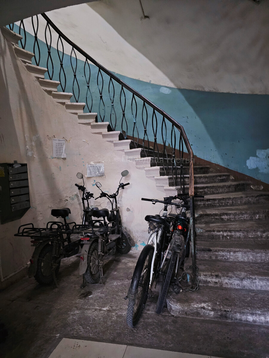 Фото: Парадная гостья