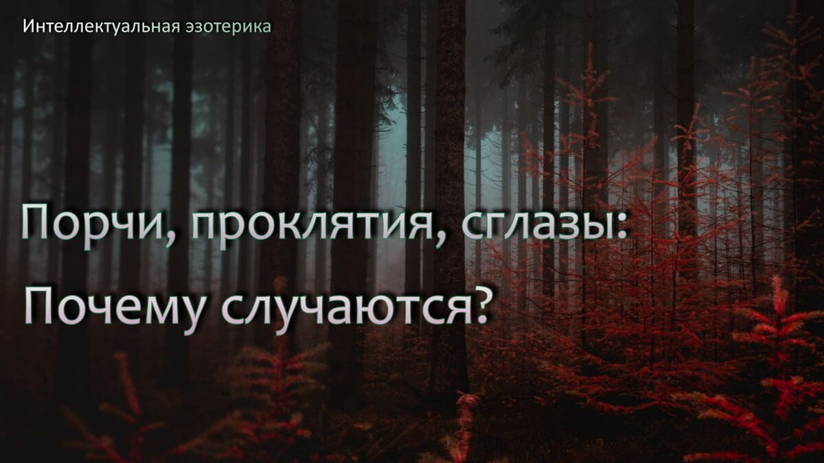 Моя коллекция