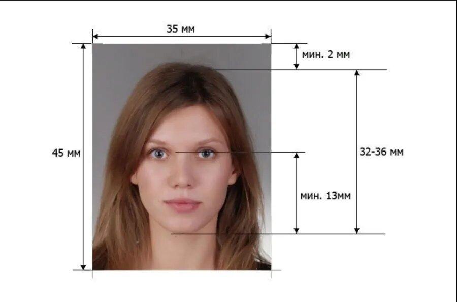 Фото на шенгенскую визу требования 2024. Фото на визу. Фото на визу образец. Фото на визу шенген требования. Требования к фотографии на визу.