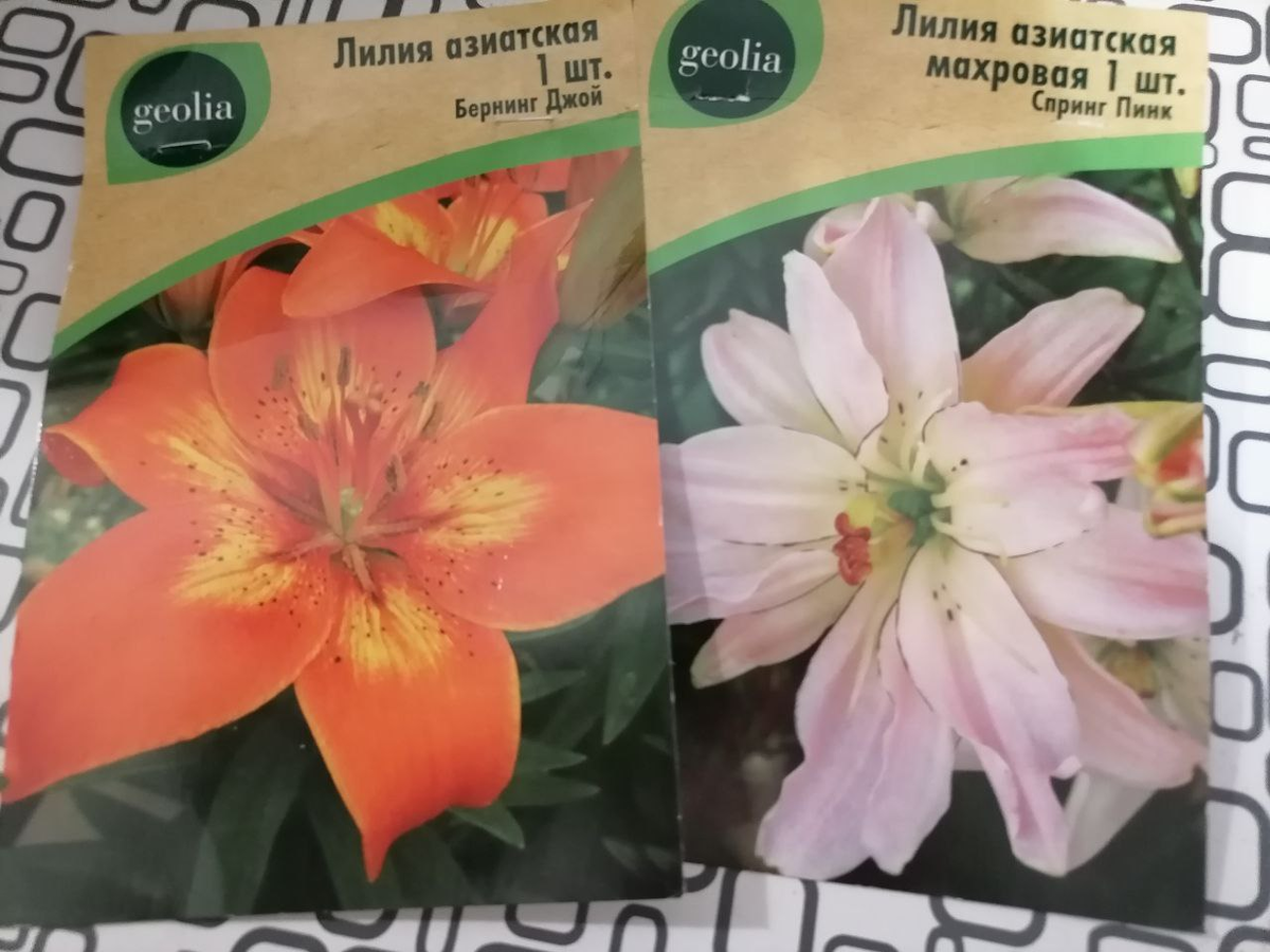 Мои новые приобретения, фото автора