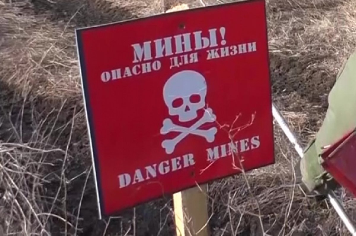    Нового робота для разминирования испытали в Ростовской области