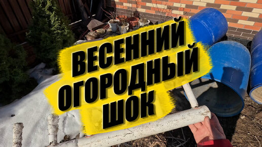 Не надо чуствовать себя ущербным. Такого вам не покажет ни один садовый блоггер