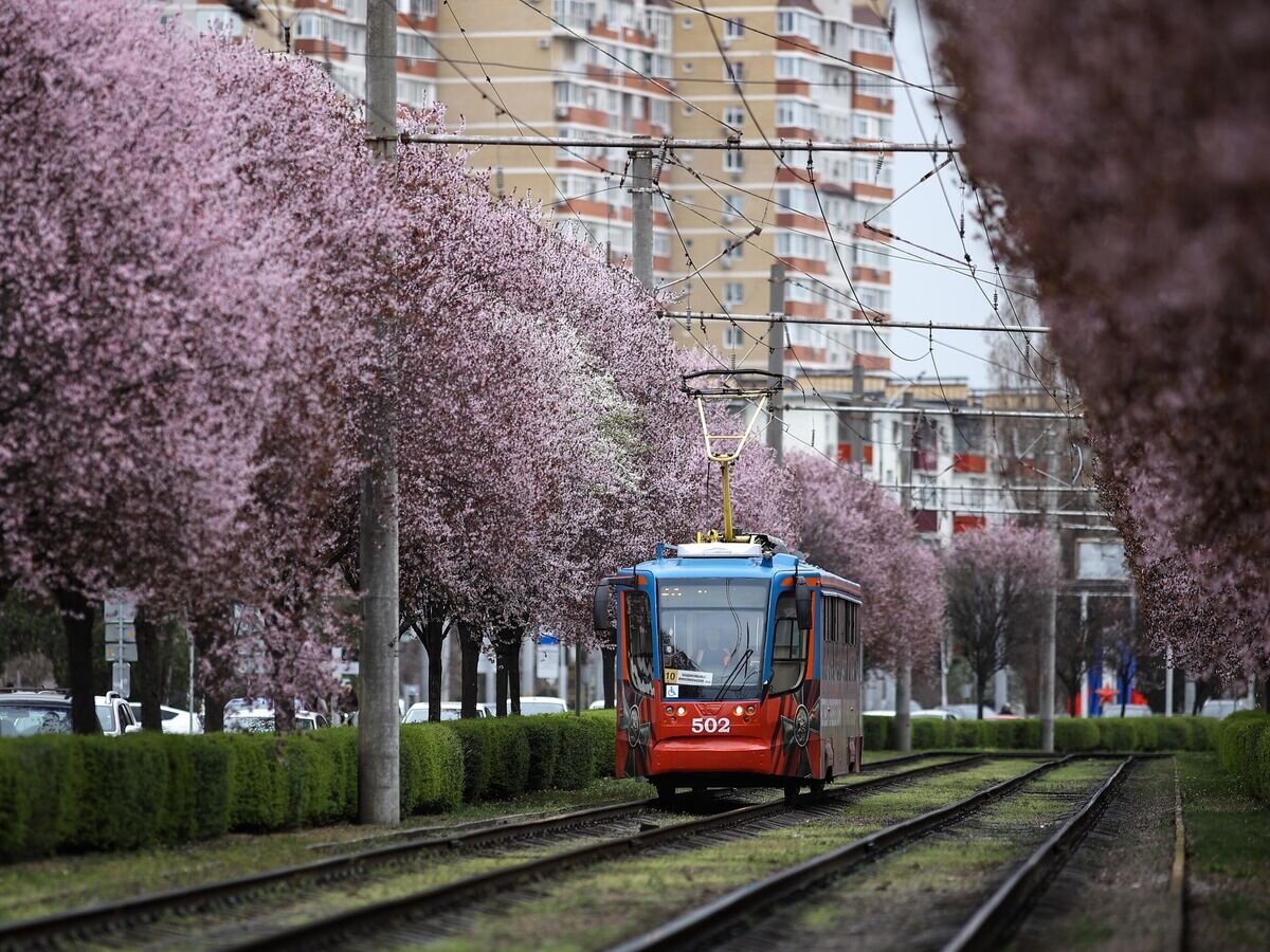    Весна в Краснодарском крае© РИА Новости . Виталий Тимкив