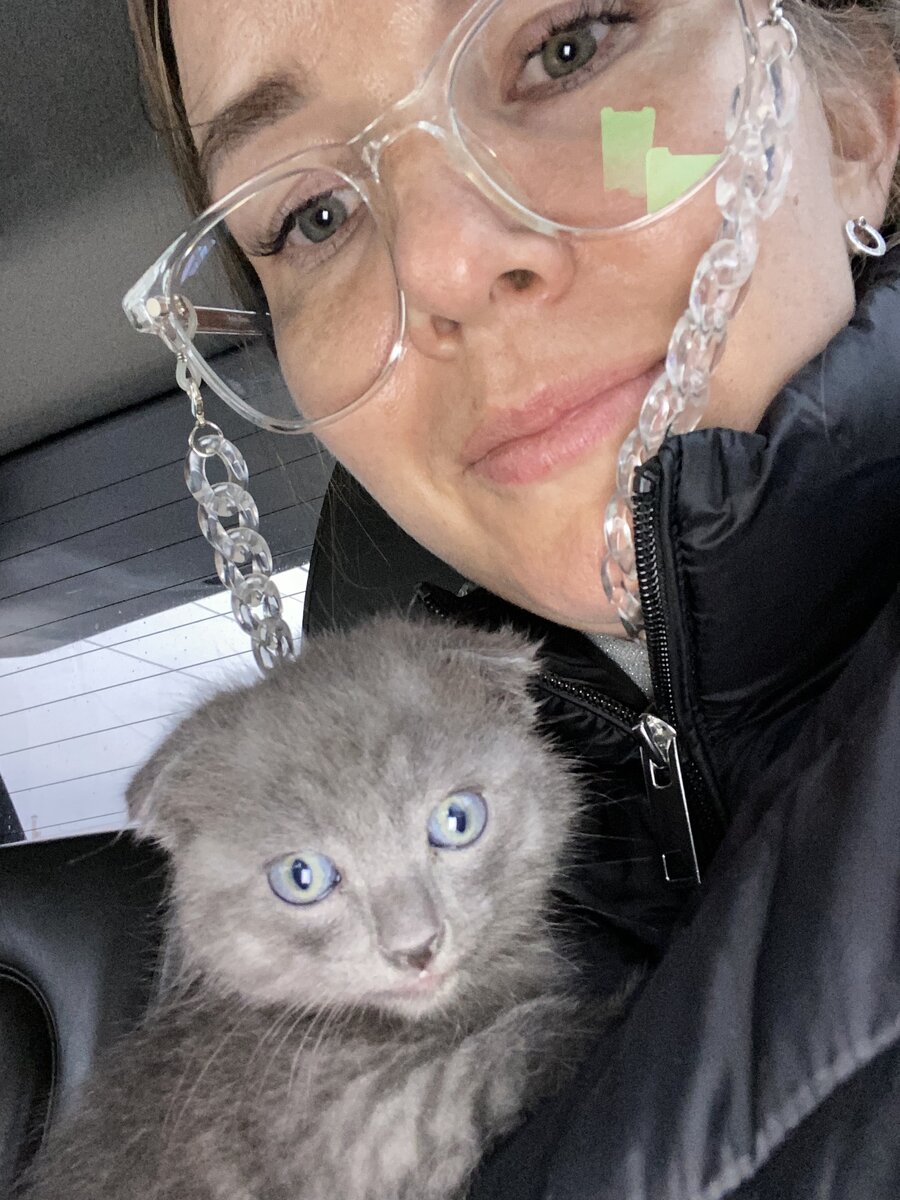 Везём в новый дом