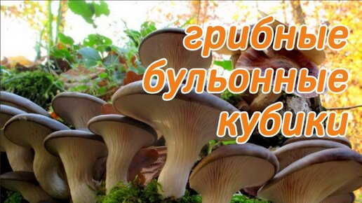 Грибные бульонные кубики