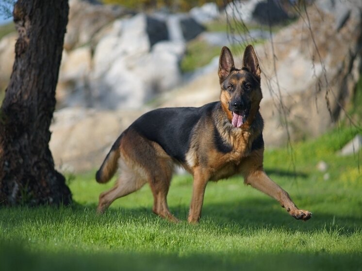     Фото: wirestock/freepik.com