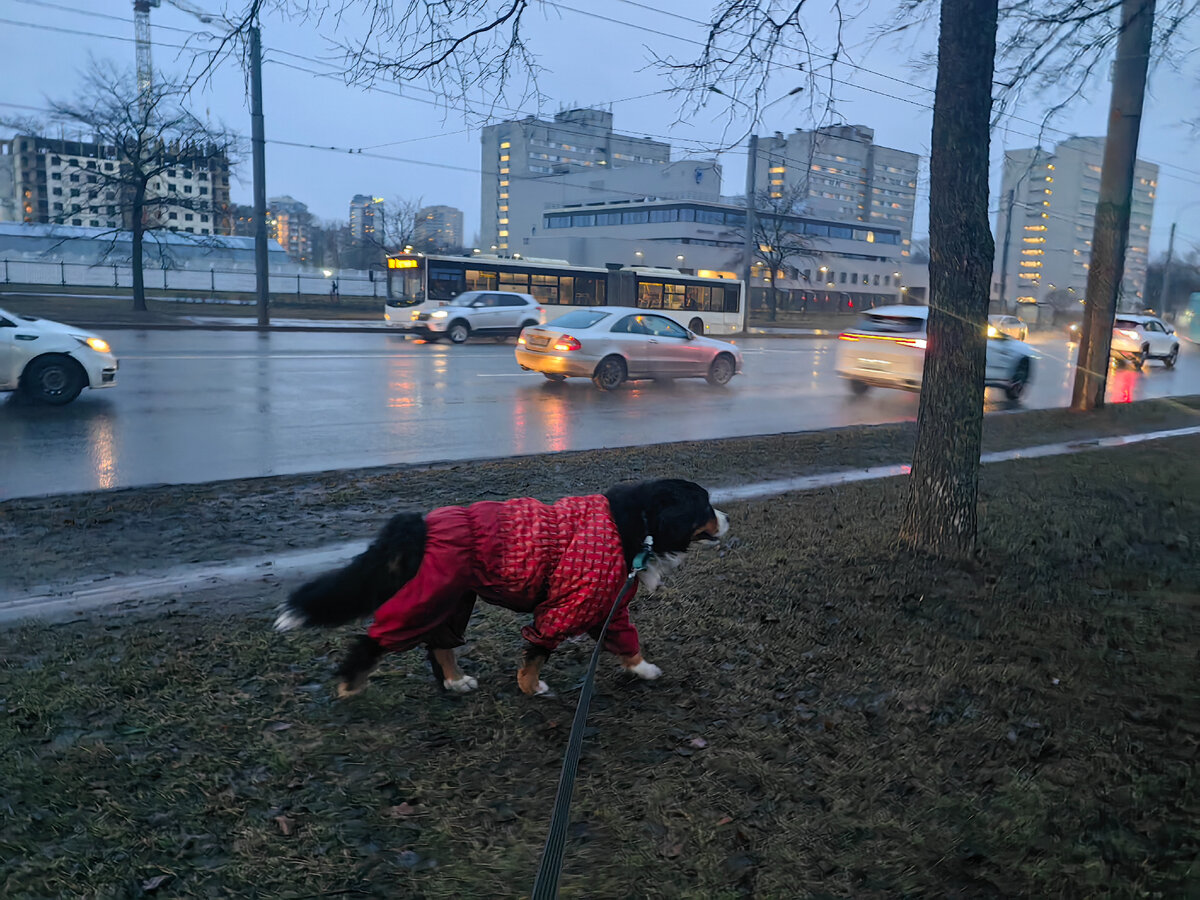 Для прогулки нет плохой погоды. 