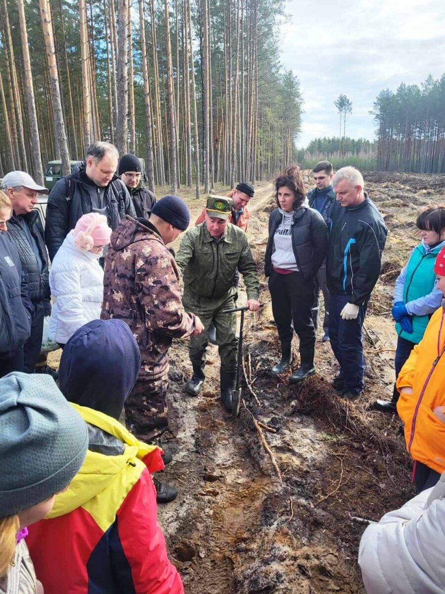 Чтобы деревья были большими | Газета 