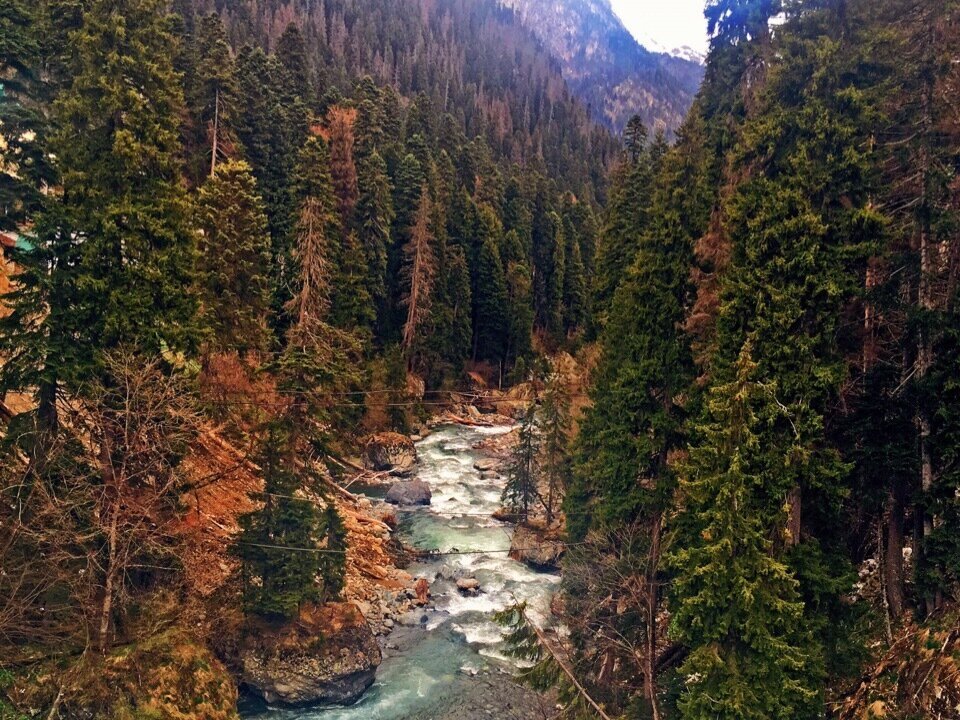 На Домбае плоскогорья чередуются с обширными плато, каньонами и горными вершинами, покрытыми снегом. Фото: Madamkrasko