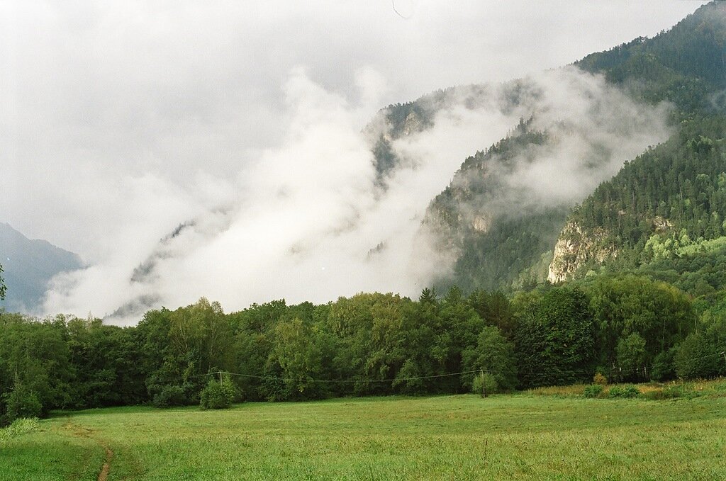 На альпийских лугах летом можно собирать бруснику и шиповник. Фото: Лобачев Владимир 