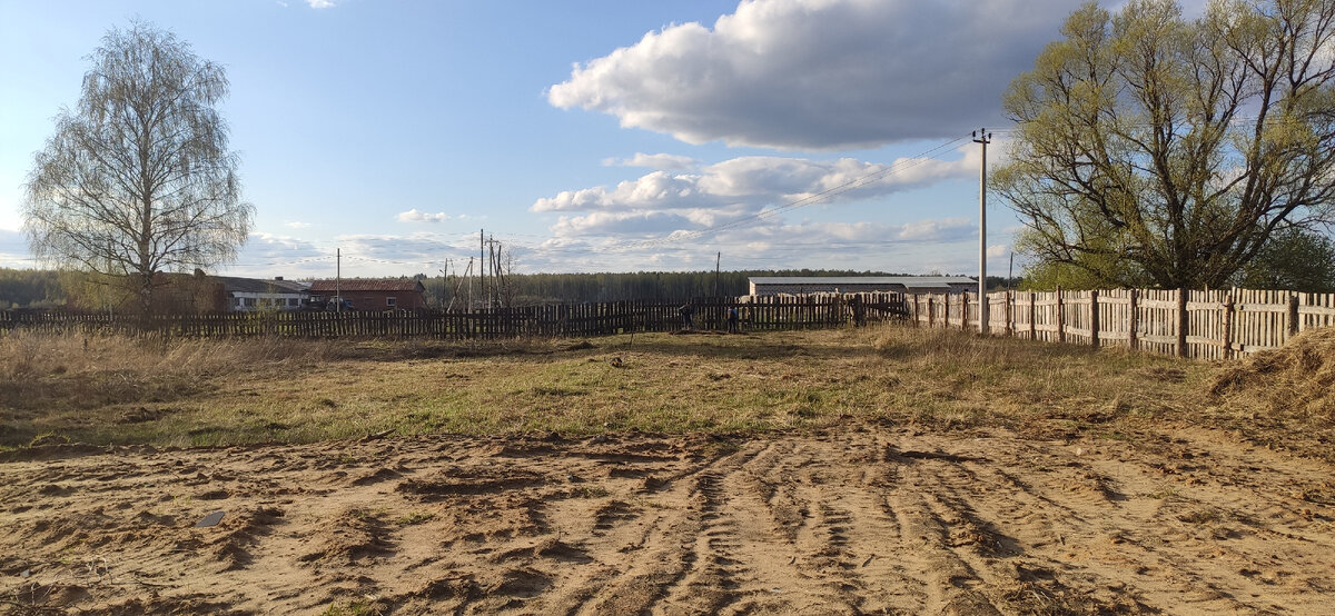 2021 год,экскаватор и планировка