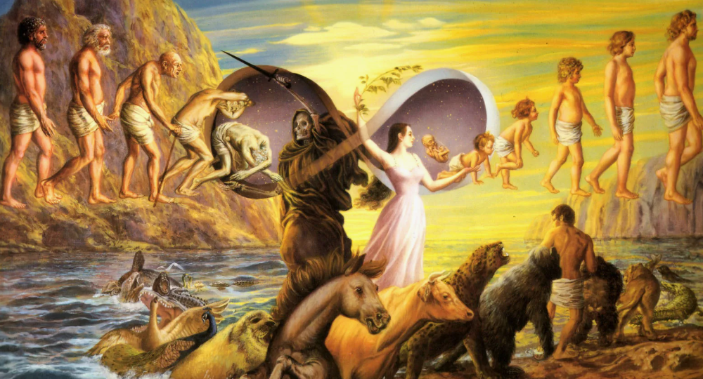 Когда приходит время умирать