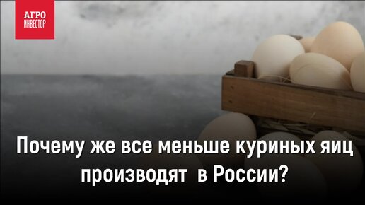 Почему же все меньше куриных яиц производят в России?