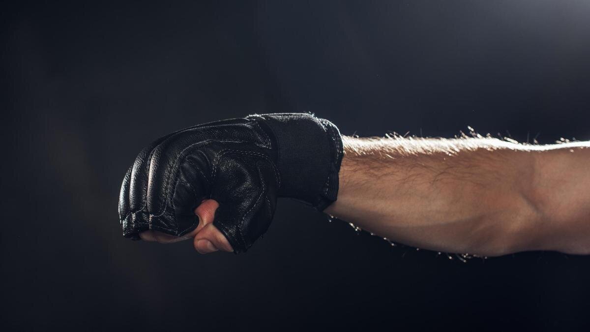    Рука бойца ММА в перчатке:LightFieldStudios / Getty Images