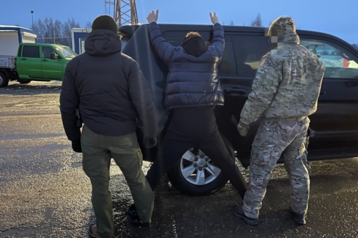 Девять иностранцев нелегально пытались проникнуть в Смоленской область |  АиФ Смоленск | Дзен