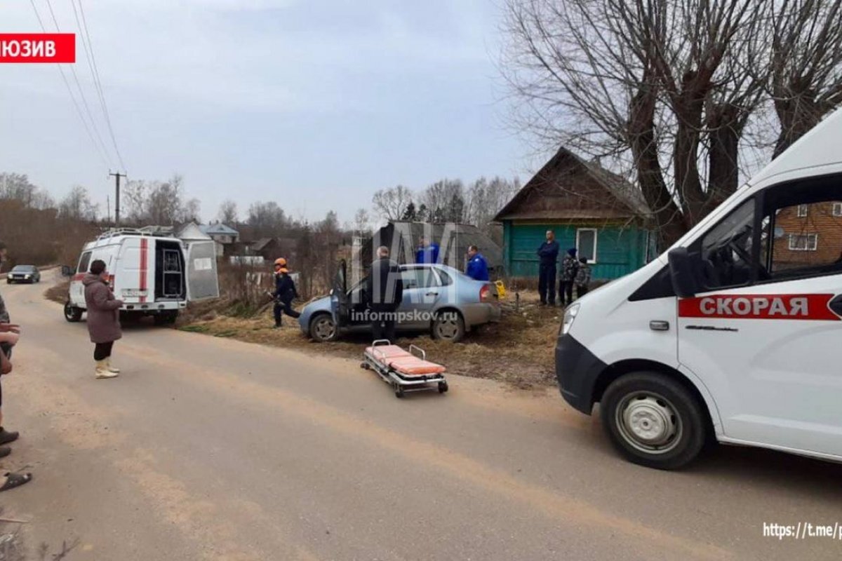 Под Великими Луками госпитализировали пассажира протаранившей дерево машины  | АиФ-Псков | Дзен