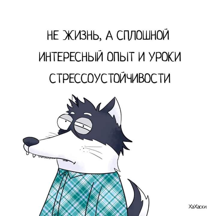 Из просторов Интернета