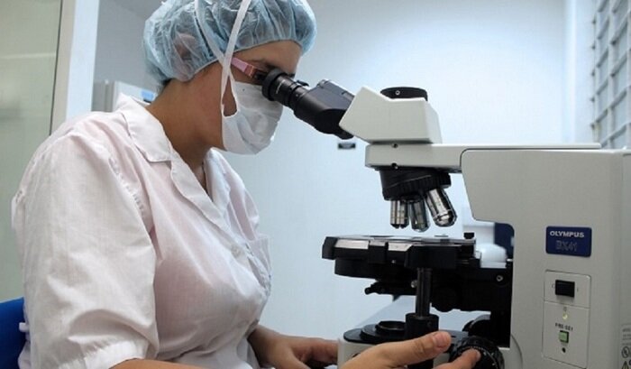    В хлебцах российской марки обнаружена кишечная палочка