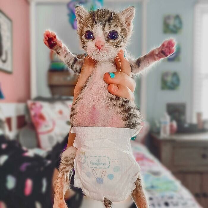 -2