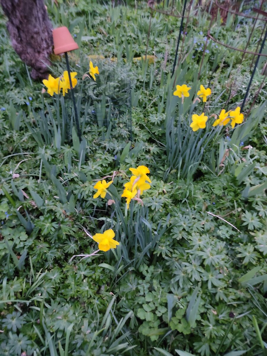 Фото автора канала