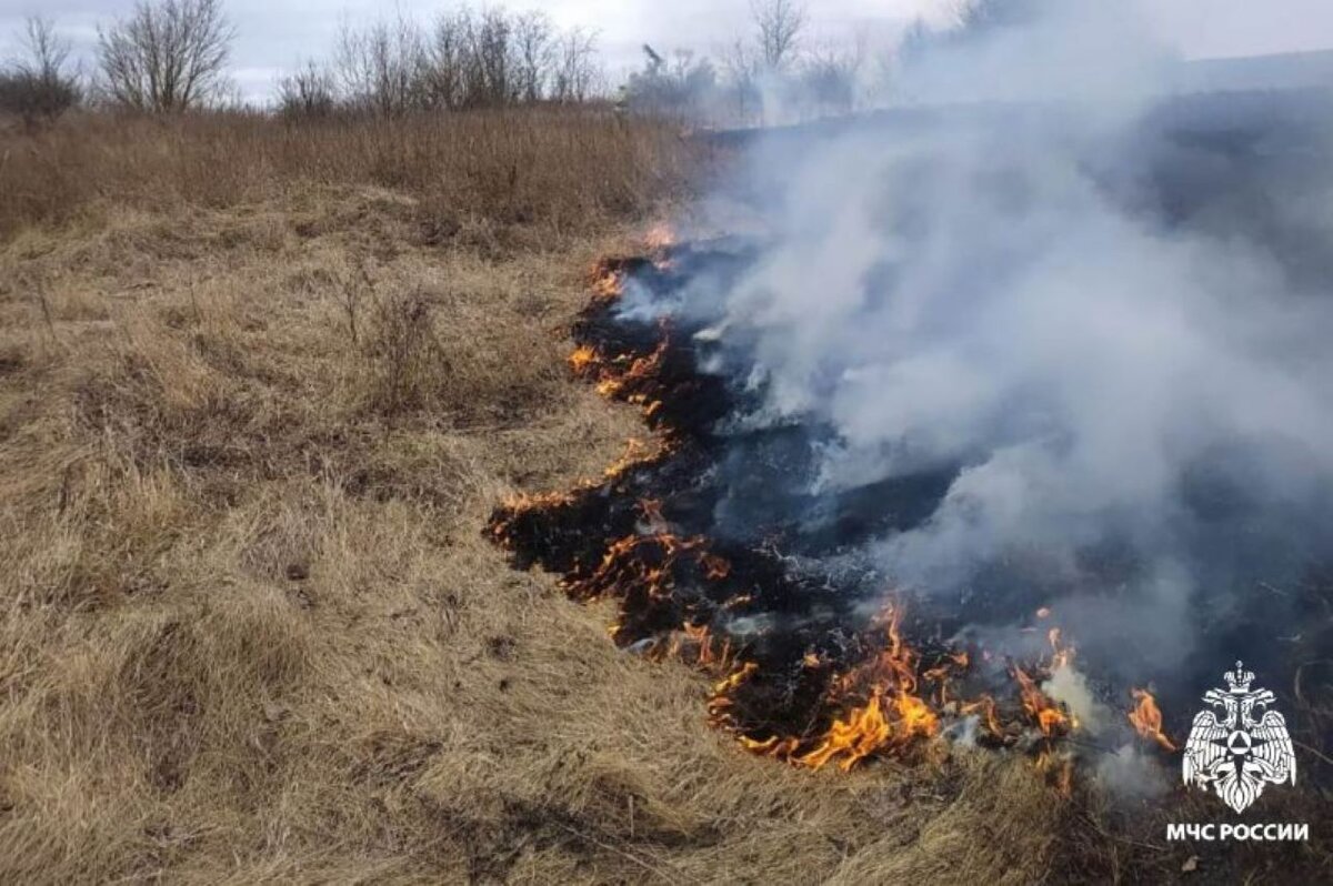    В Курской области женщина во время уборки участка от сухой травы устроила пожар