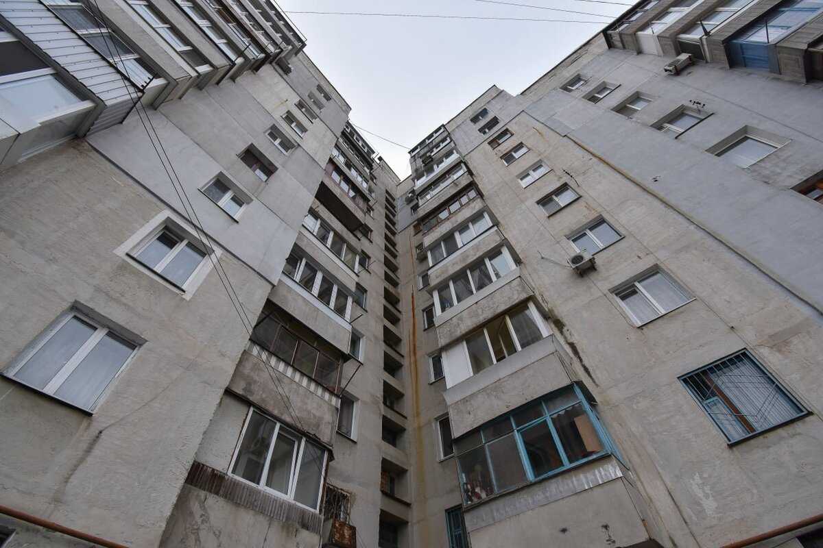 Фото: Гала Амарандо